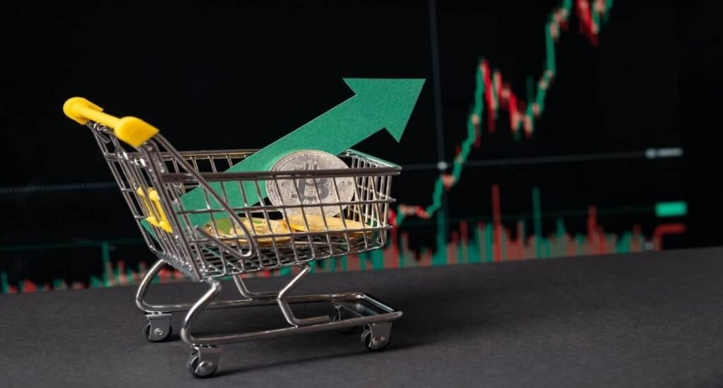 Bitcoin's Long-Term Buy Signal Emerges: Observations of a Hedge Fund Chief Executive